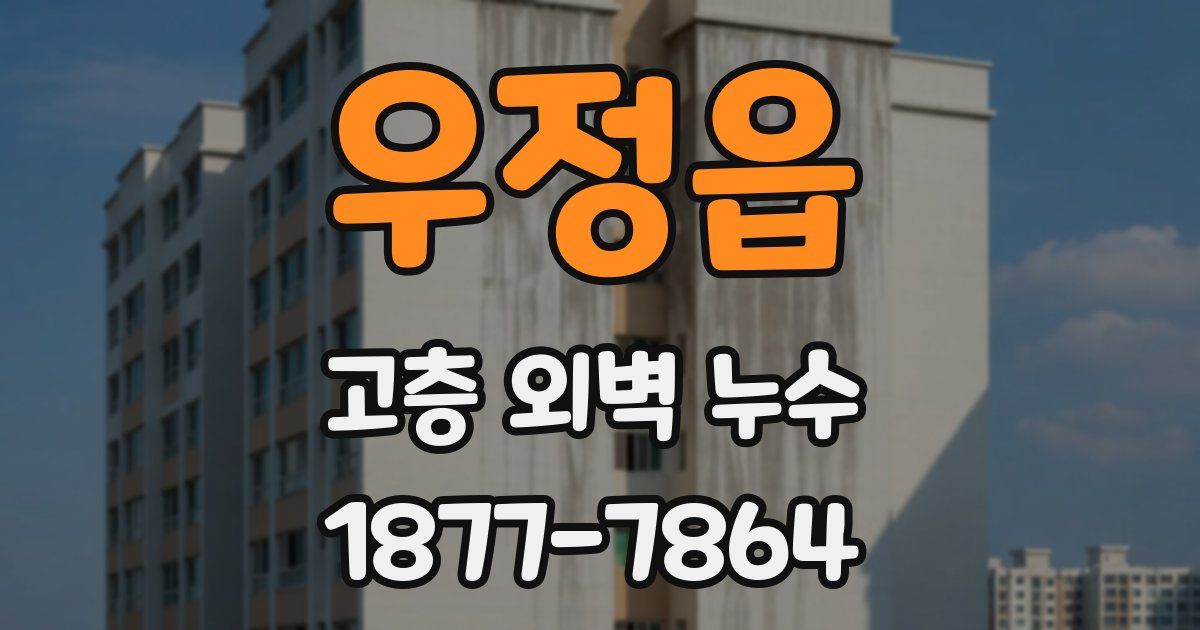 우정읍 고층 외벽 누수