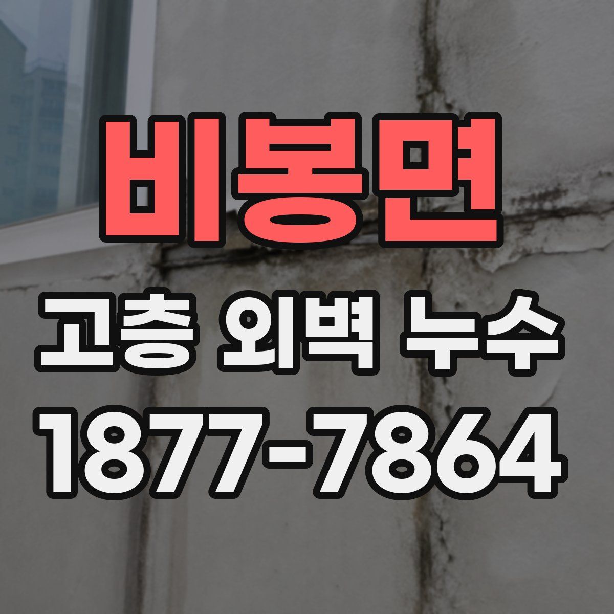 비봉면 고층 외벽 누수