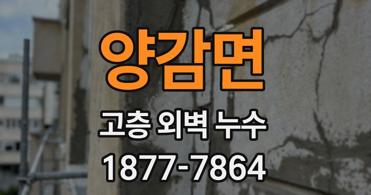 양감면 고층 외벽 누수