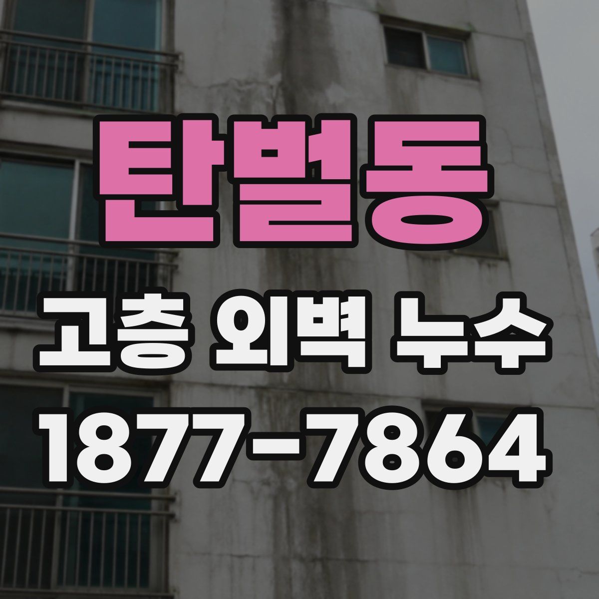 탄벌동 고층 외벽 누수