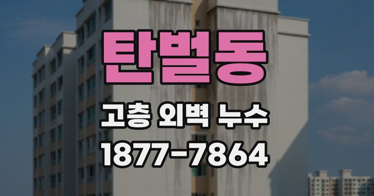 탄벌동 고층 외벽 누수