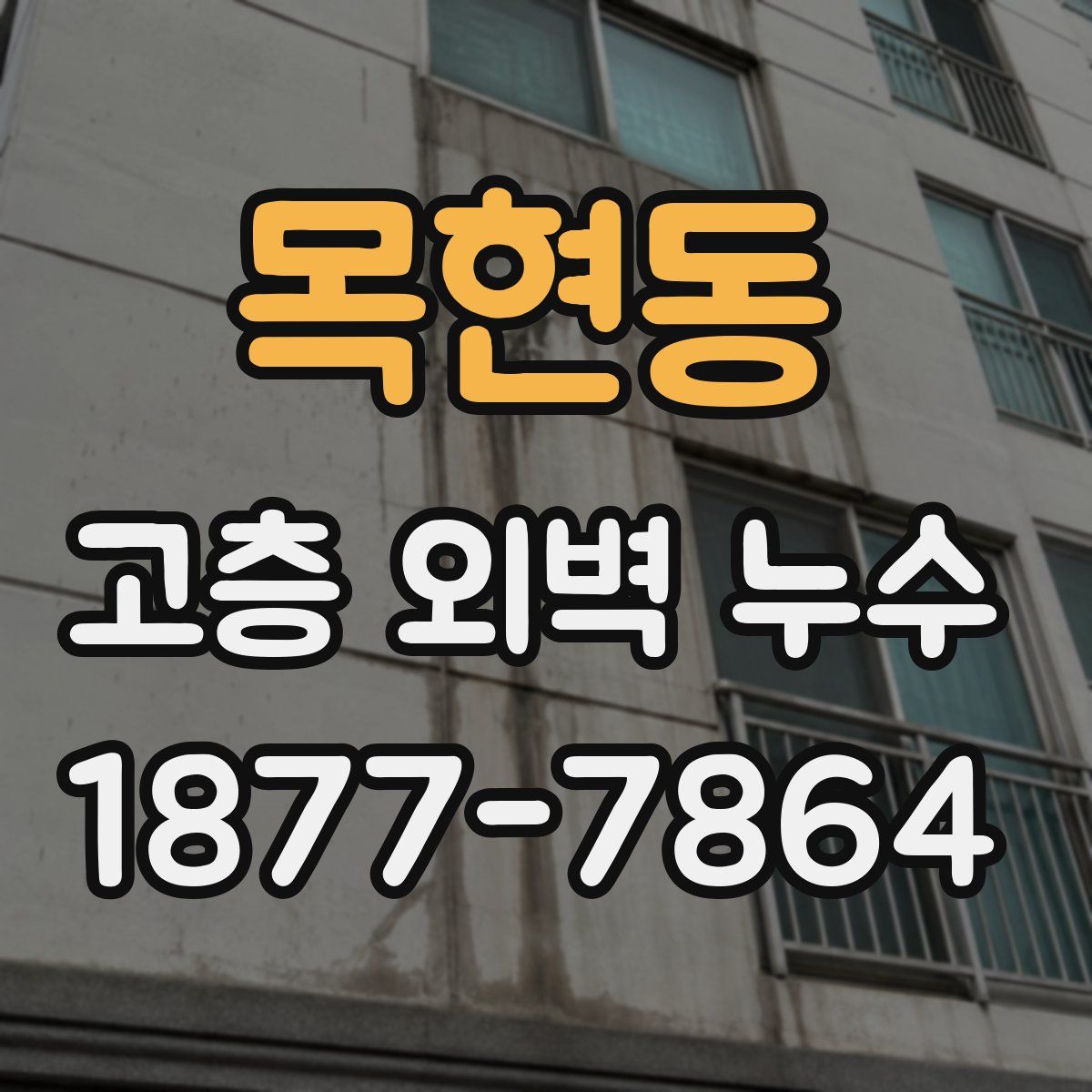 목현동 고층 외벽 누수