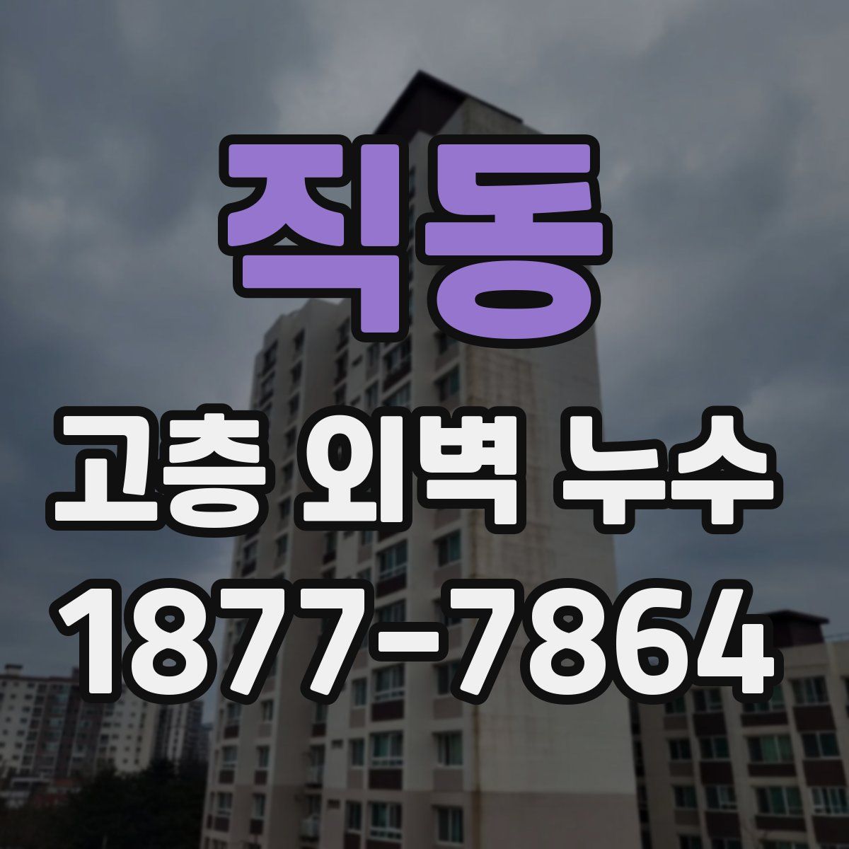 직동 고층 외벽 누수