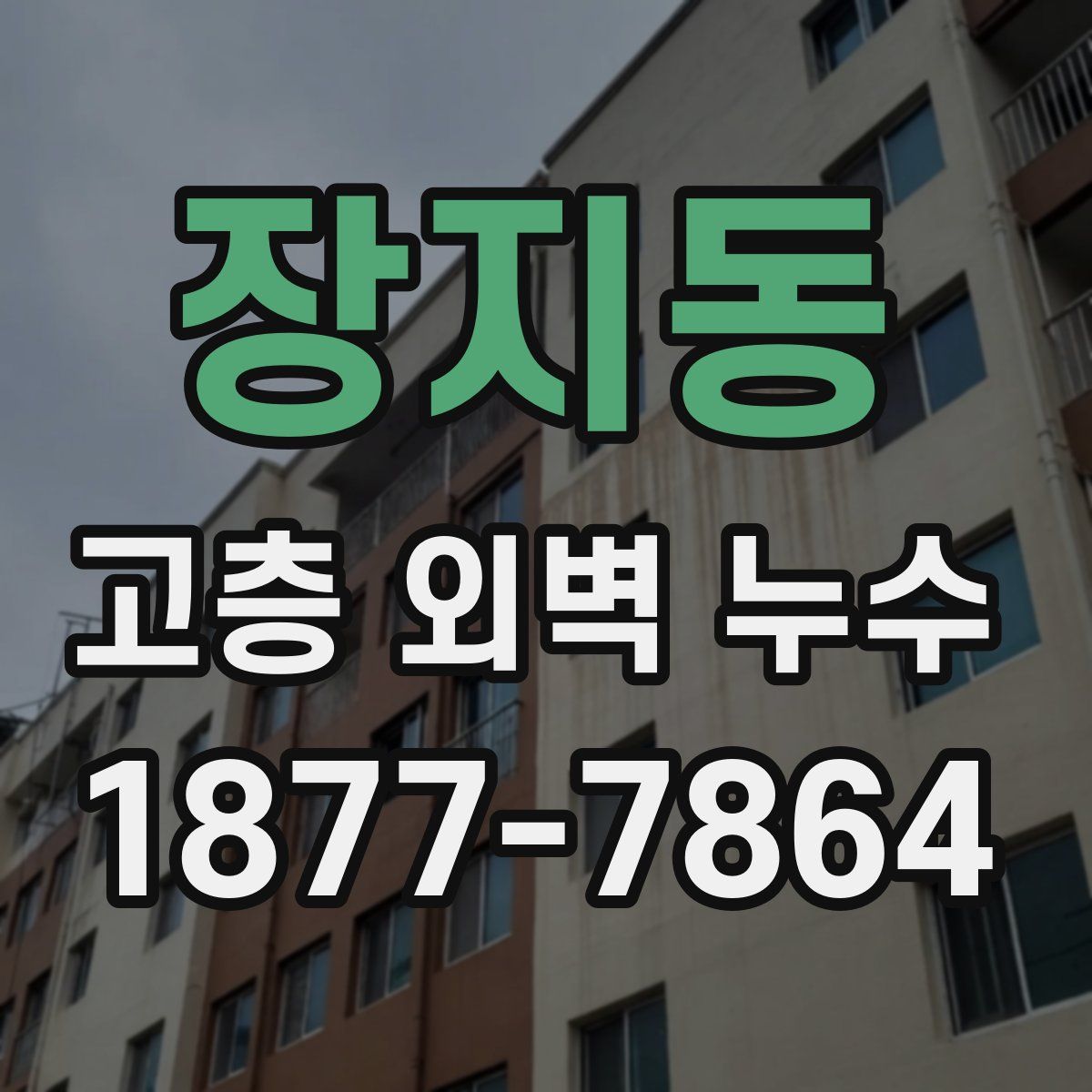 장지동 고층 외벽 누수