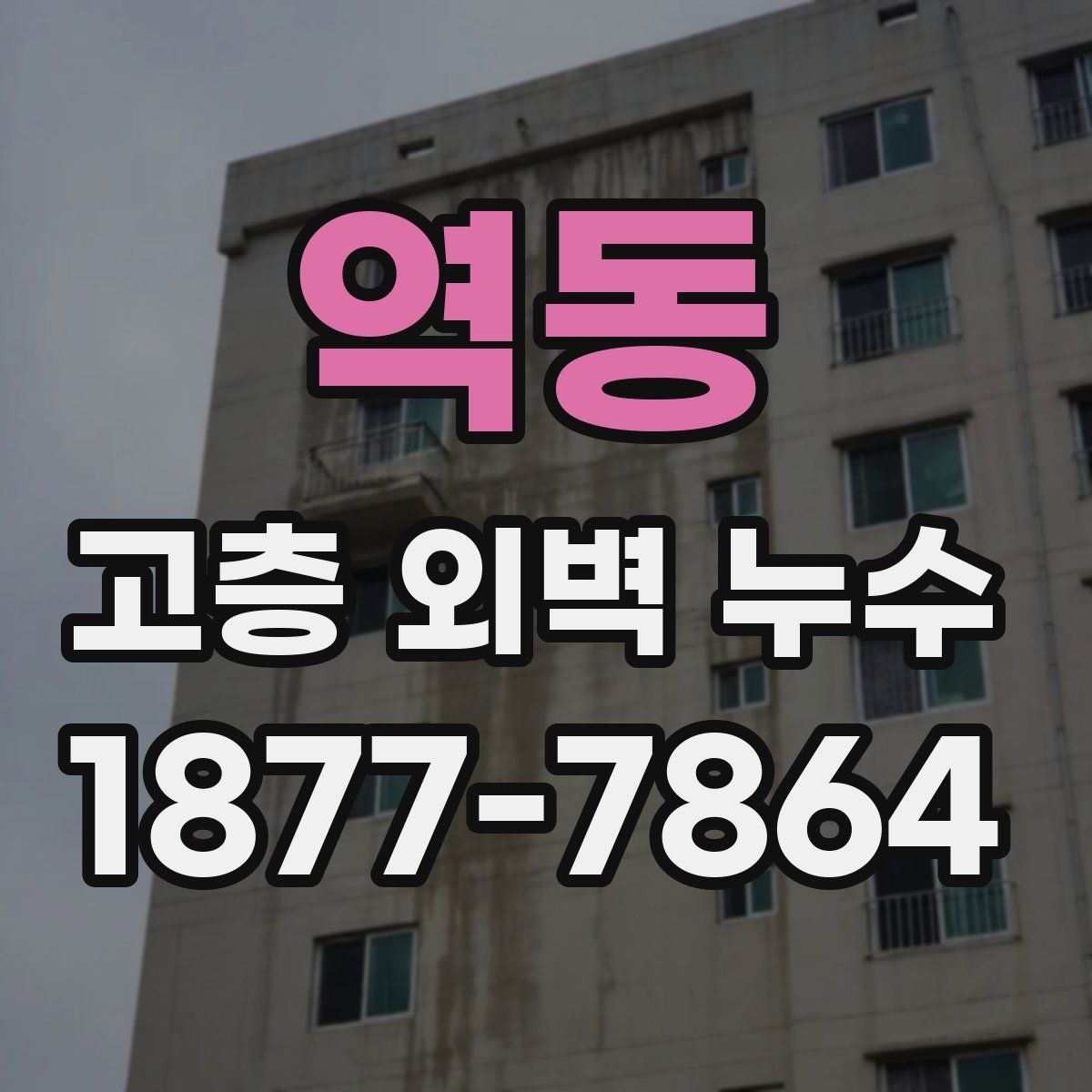 역동 고층 외벽 누수