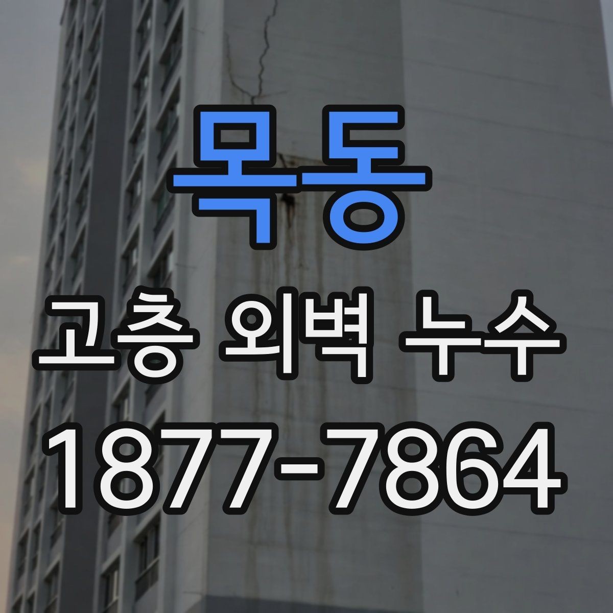 목동 고층 외벽 누수 외벽 점검 주기를 어떻게 잡을까