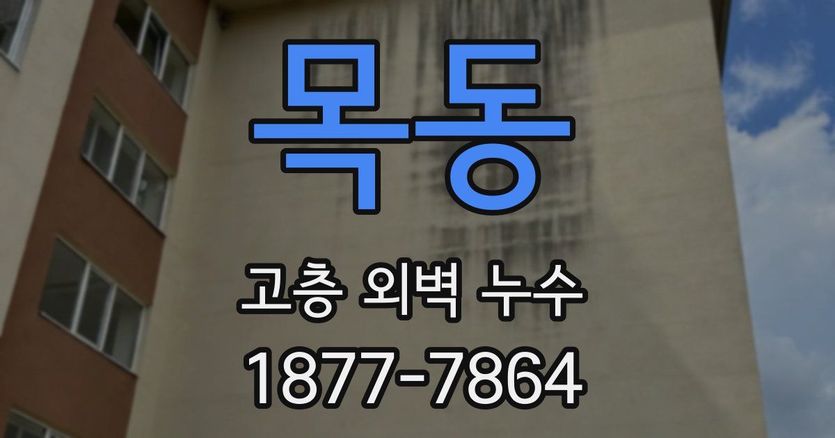 목동 고층 외벽 누수