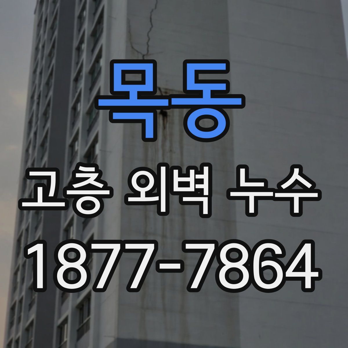 목동 고층 외벽 누수