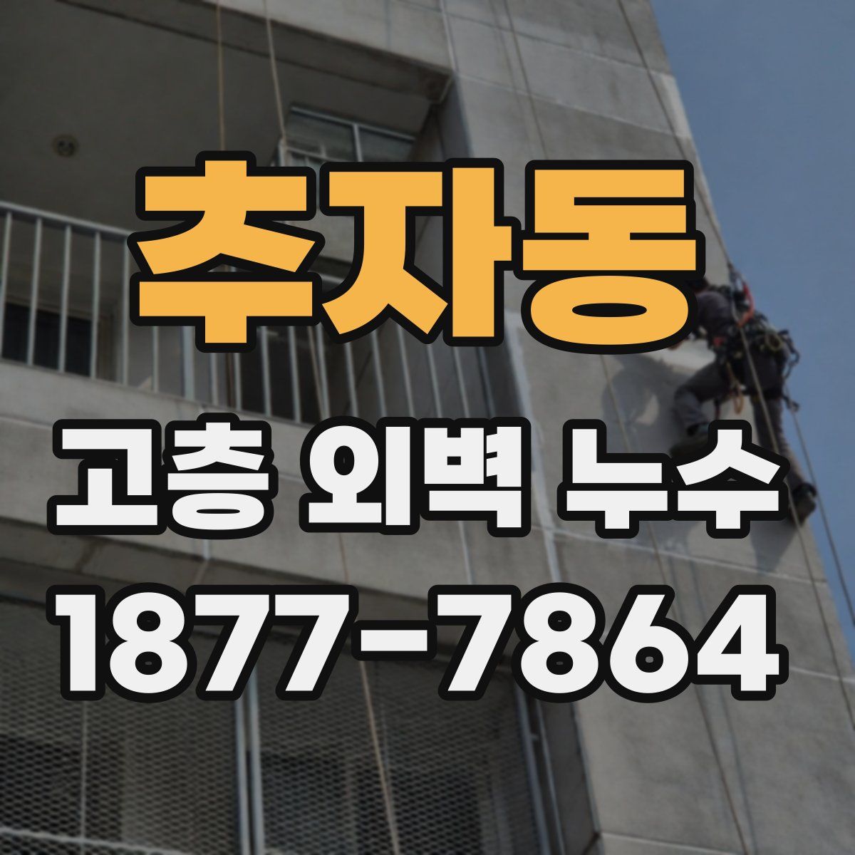 추자동 고층 외벽 누수