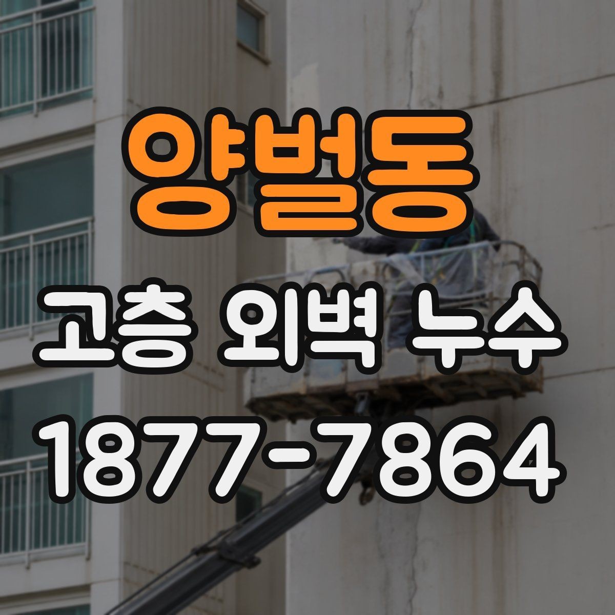 양벌동 고층 외벽 누수 누수 확산을 막는 초기 대응