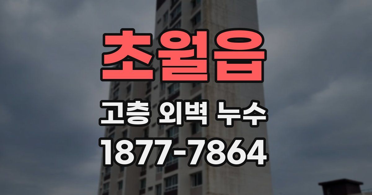 초월읍 고층 외벽 누수