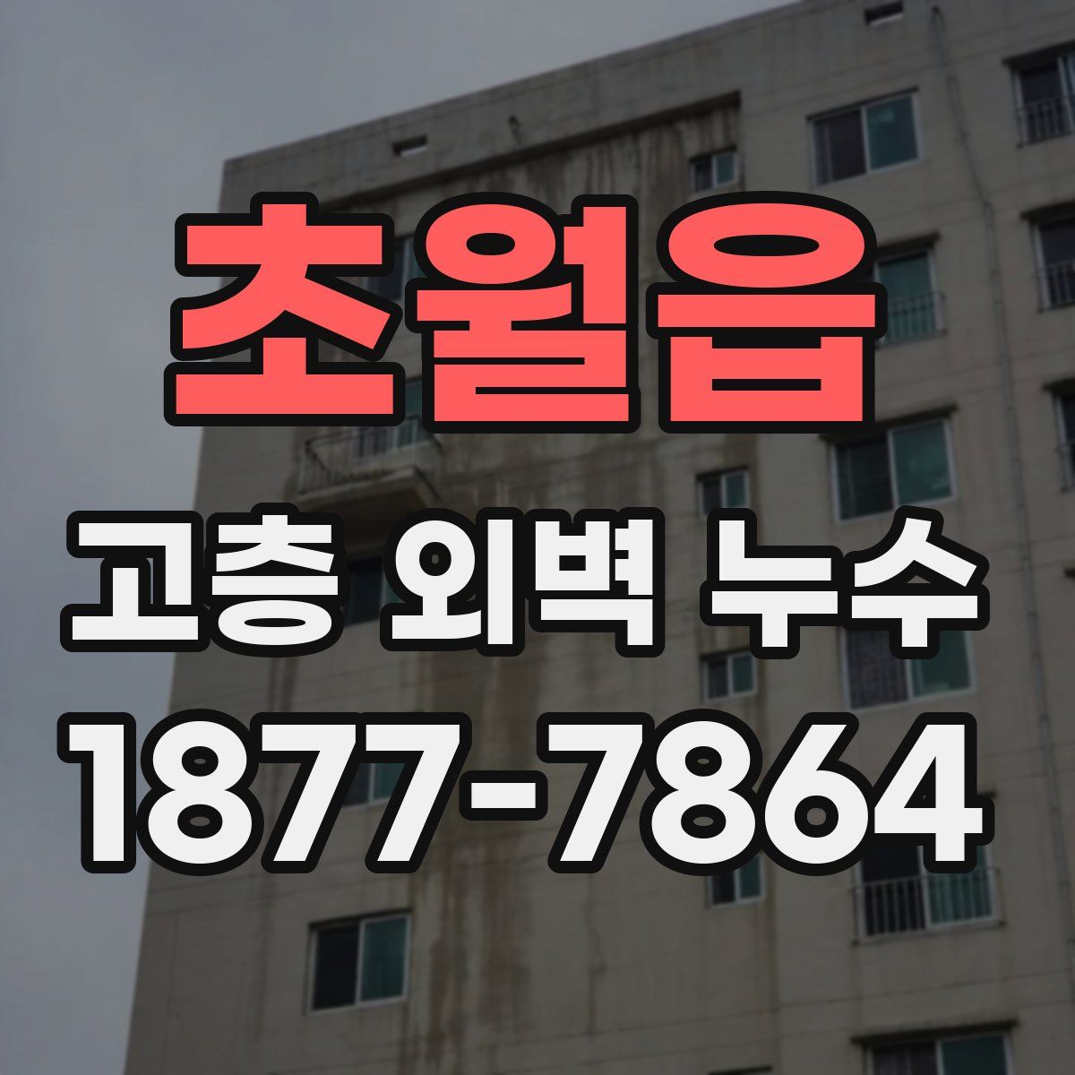 초월읍 고층 외벽 누수