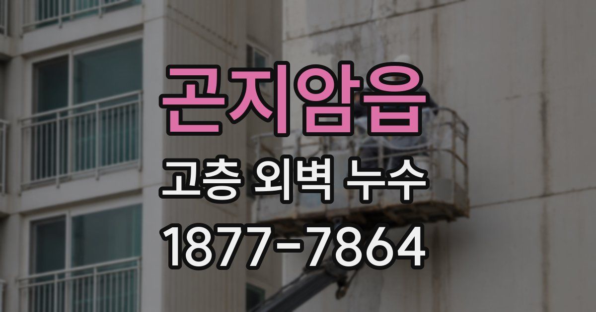 곤지암읍 고층 외벽 누수