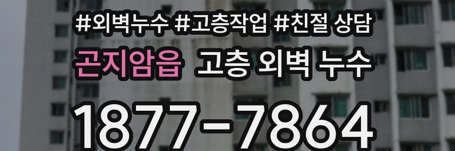 곤지암읍 고층 외벽 누수