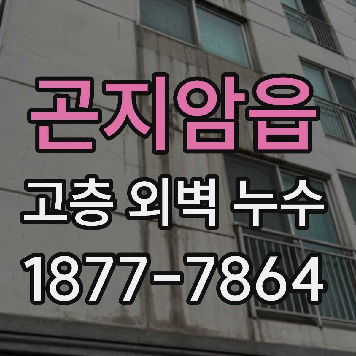 곤지암읍 고층 외벽 누수