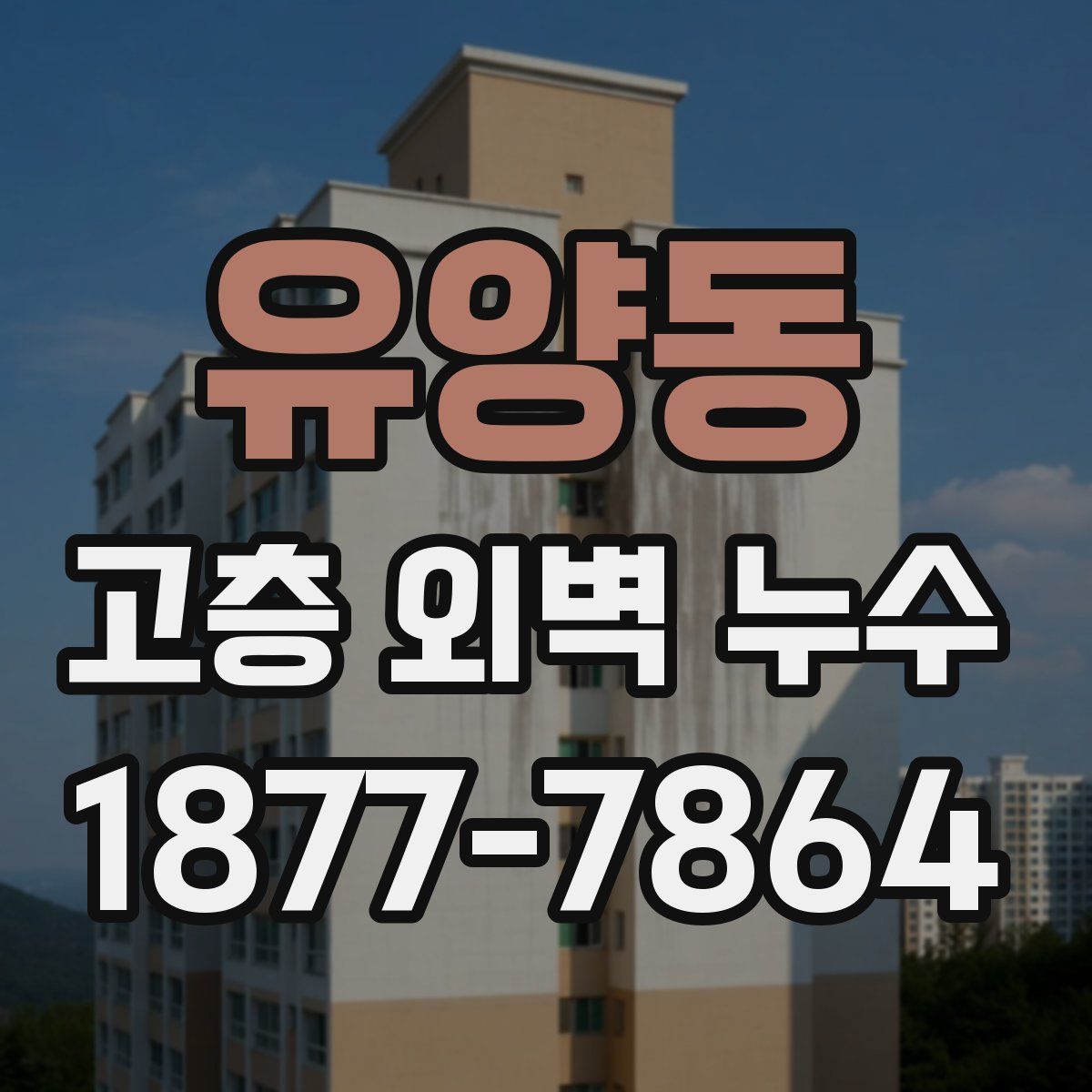 유양동 고층 외벽 누수