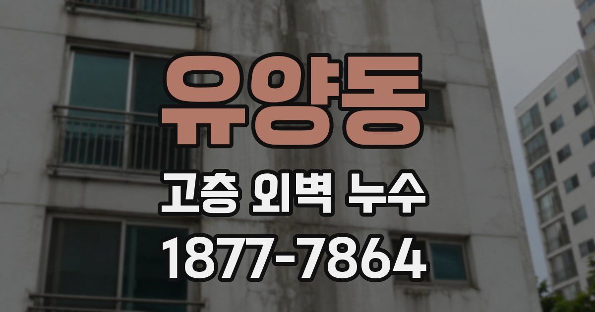 유양동 고층 외벽 누수