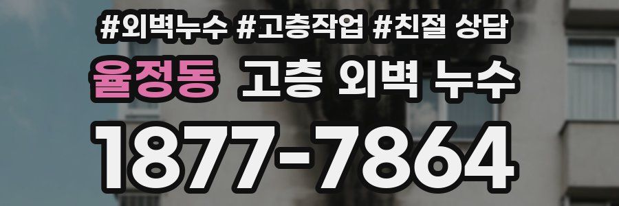 율정동 고층 외벽 누수