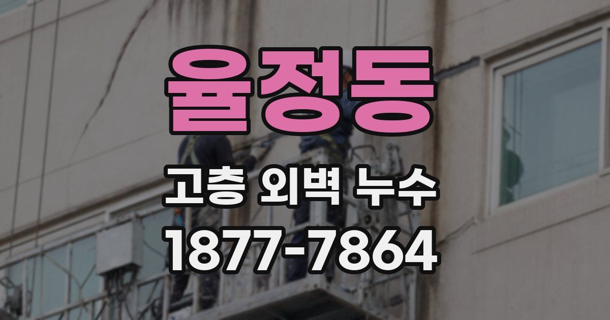 율정동 고층 외벽 누수