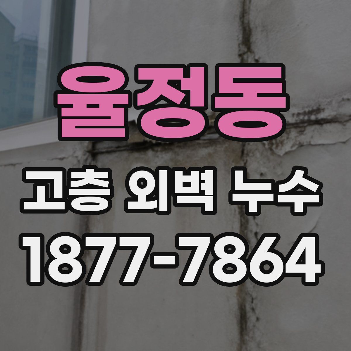 율정동 고층 외벽 누수