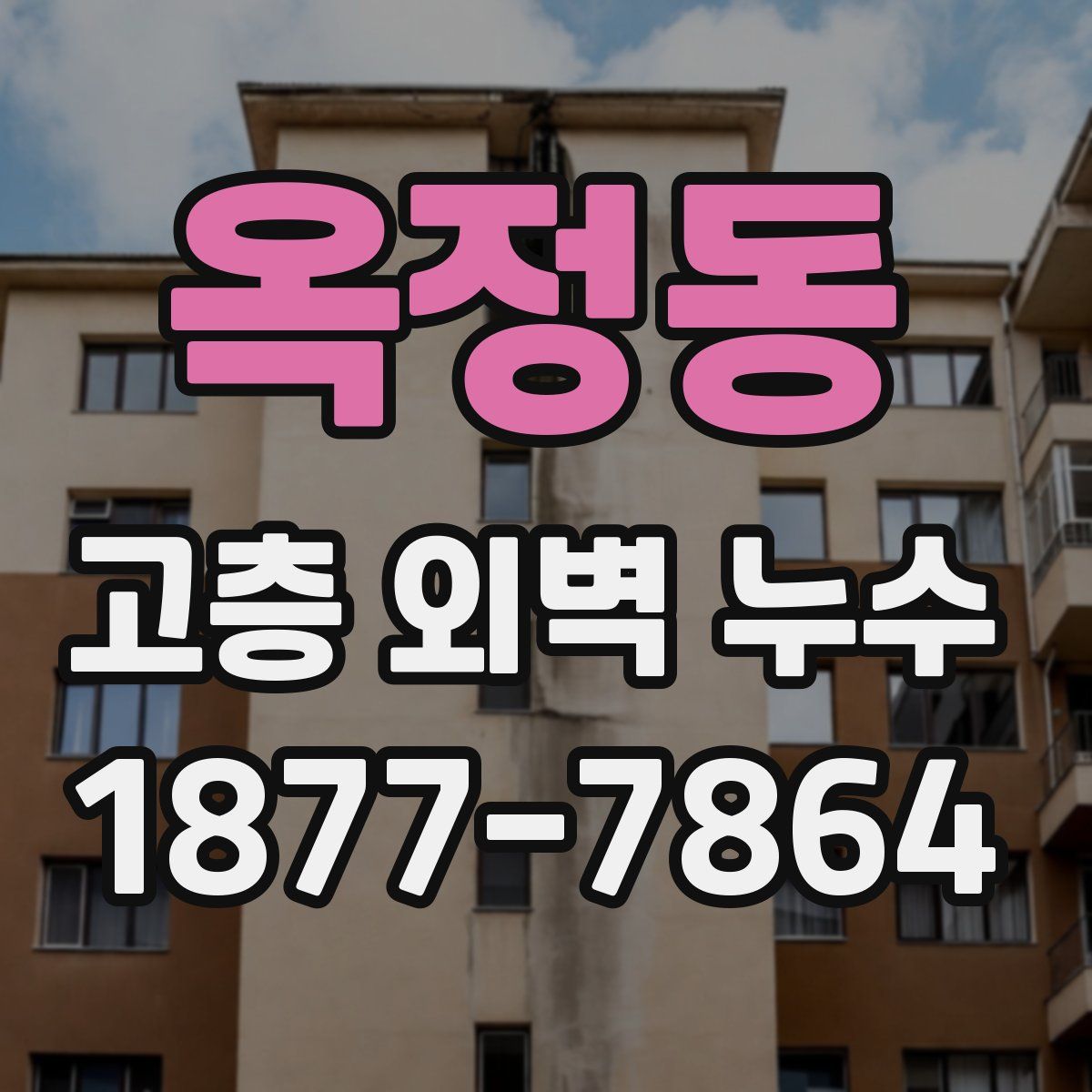옥정동 고층 외벽 누수