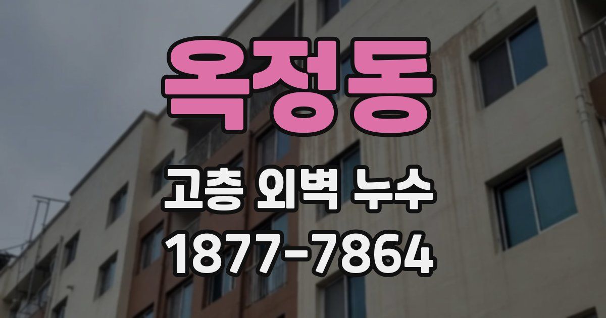 옥정동 고층 외벽 누수