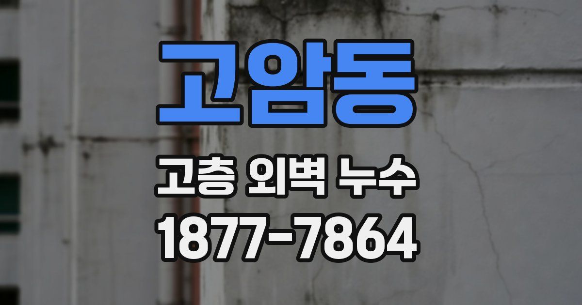 고암동 고층 외벽 누수