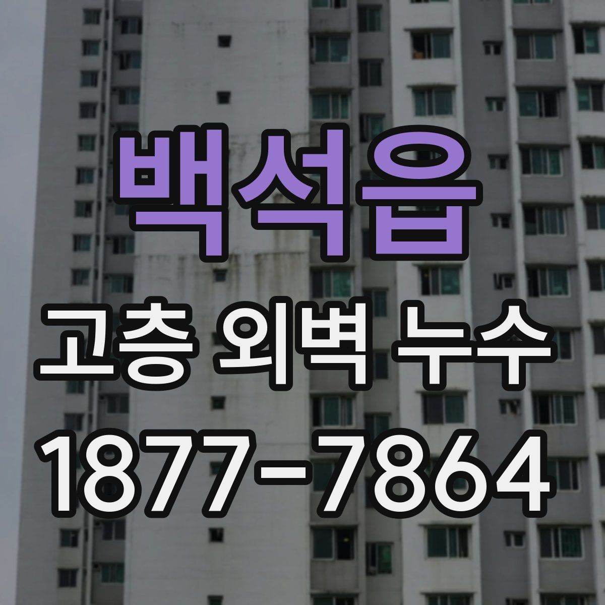 백석읍 고층 외벽 누수