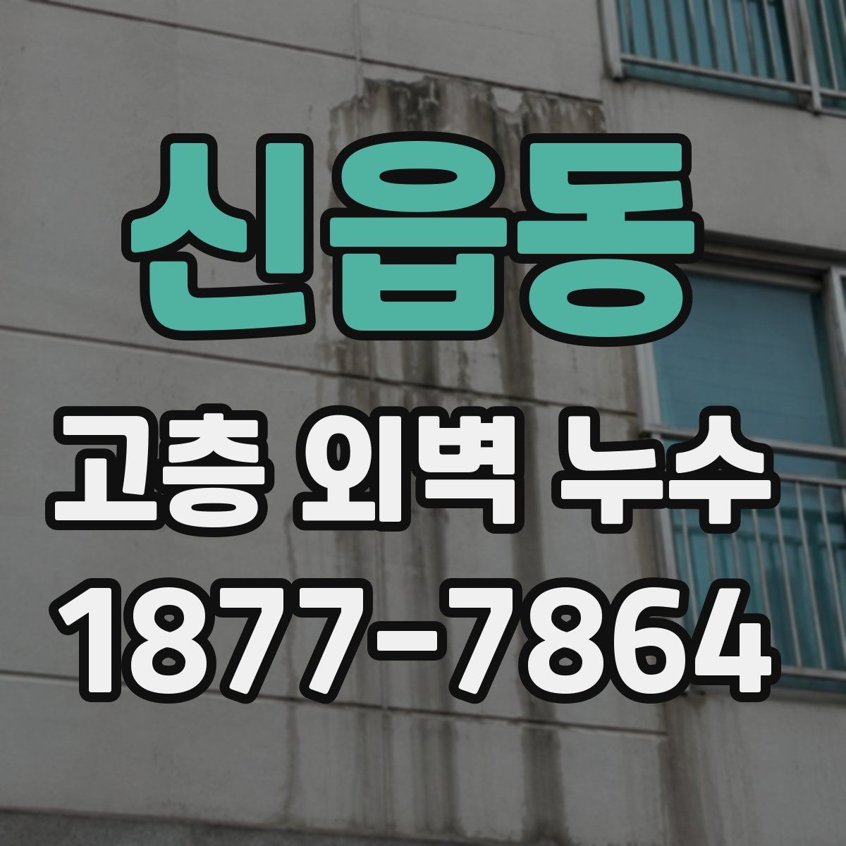 신읍동 고층 외벽 누수