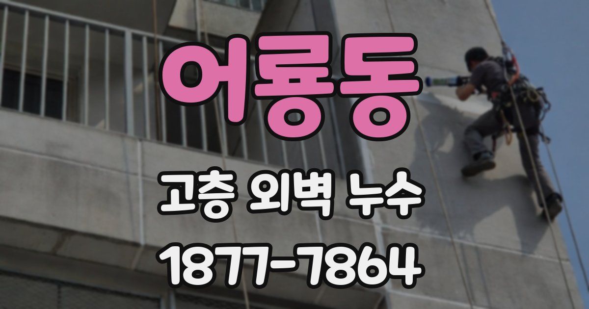 어룡동 고층 외벽 누수