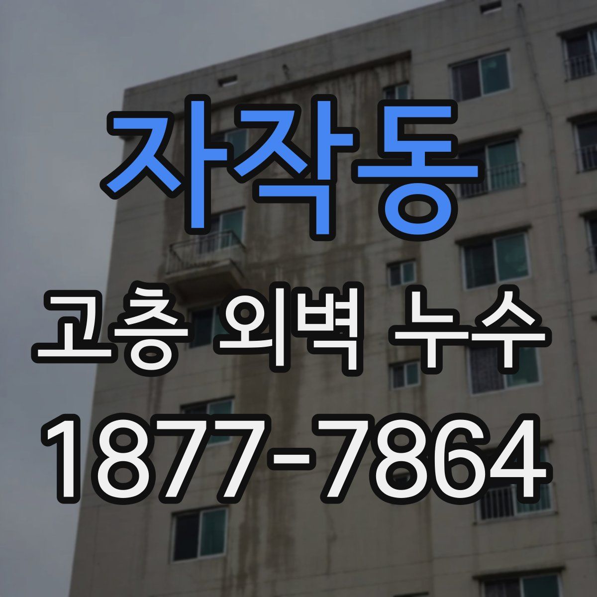 자작동 고층 외벽 누수
