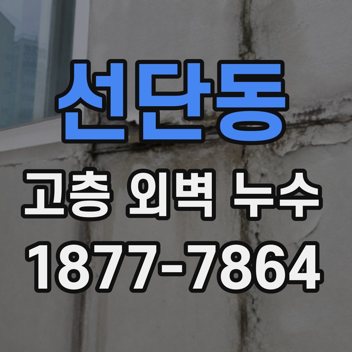 선단동 고층 외벽 누수