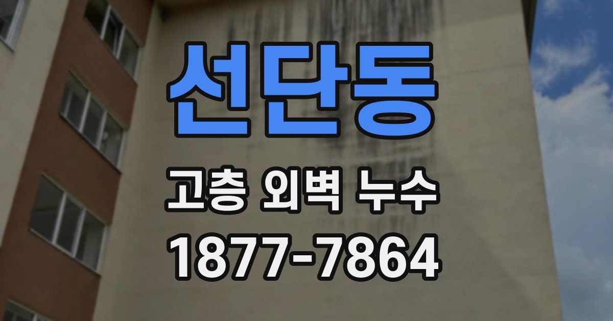선단동 고층 외벽 누수