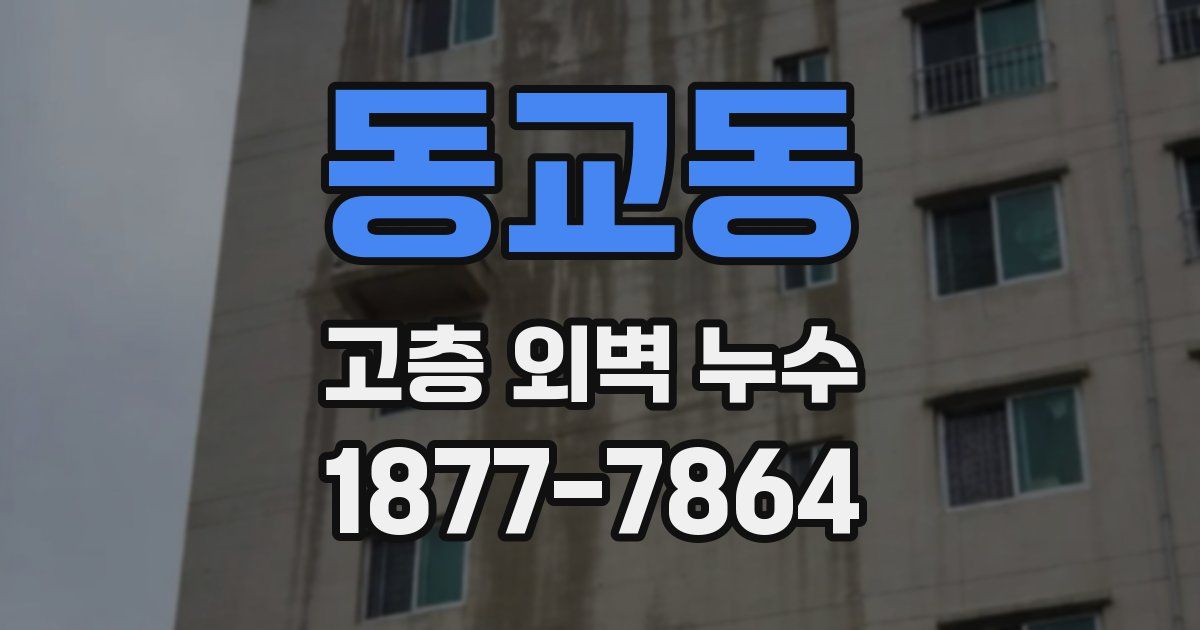 동교동 고층 외벽 누수