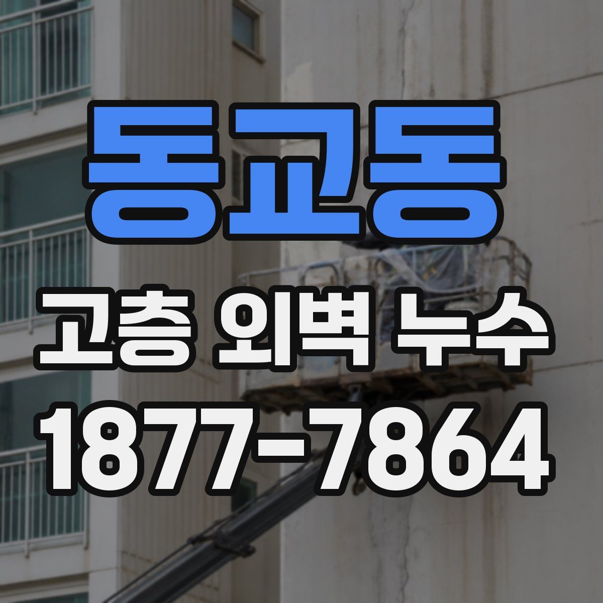 동교동 고층 외벽 누수