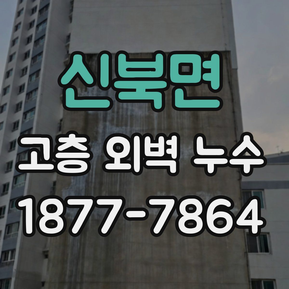 신북면 고층 외벽 누수