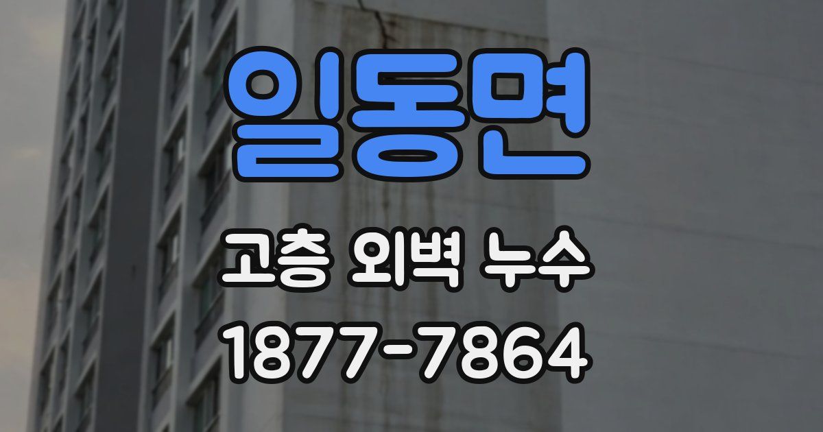일동면 고층 외벽 누수