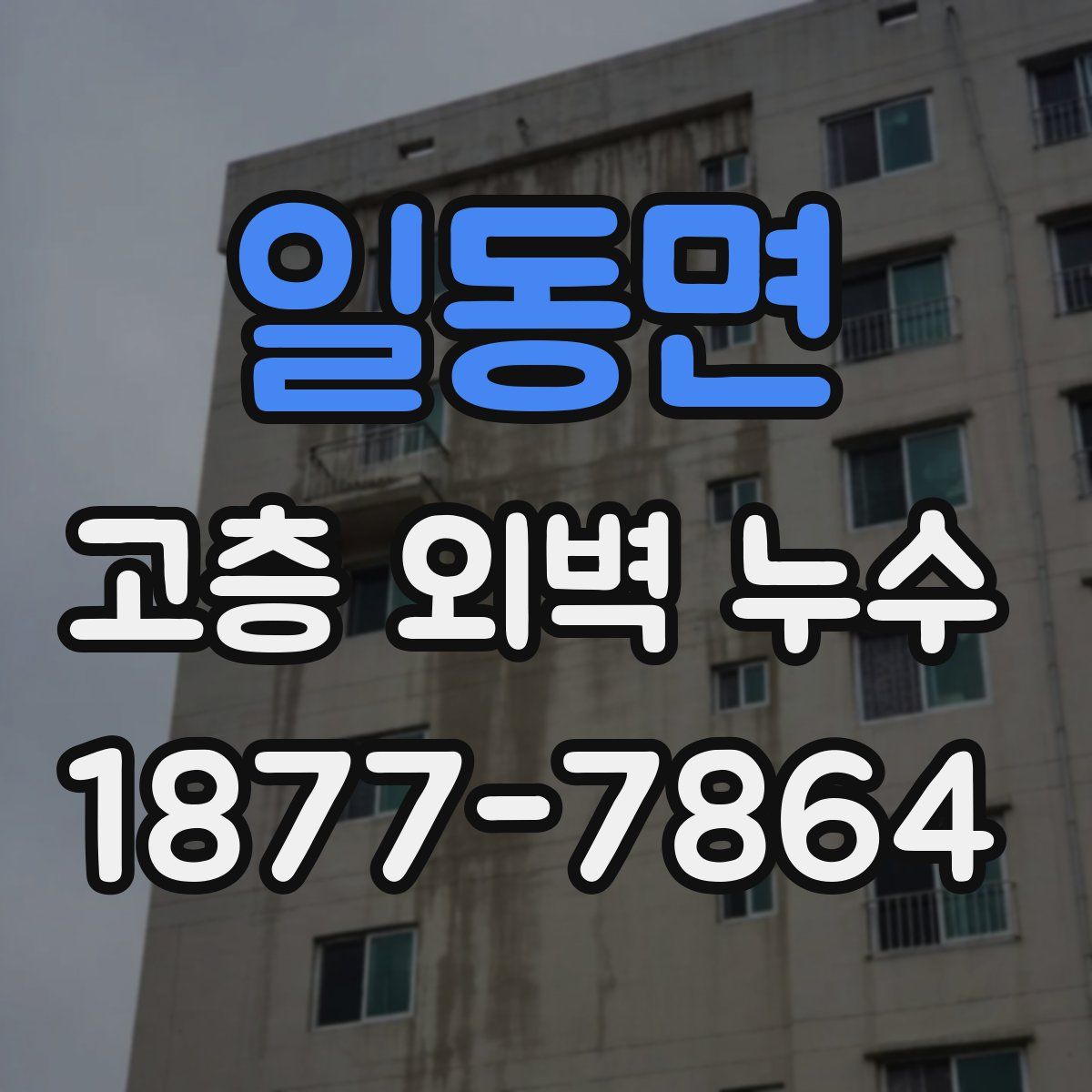 일동면 고층 외벽 누수