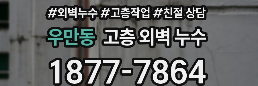 우만동 고층 외벽 누수