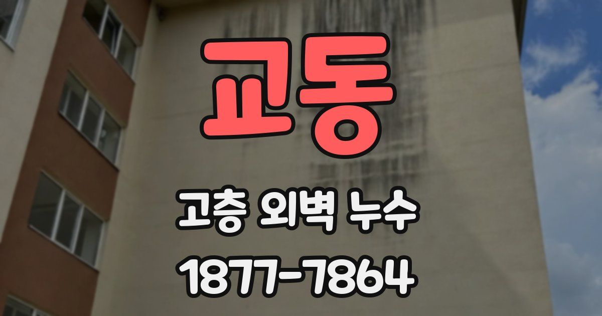 교동 고층 외벽 누수