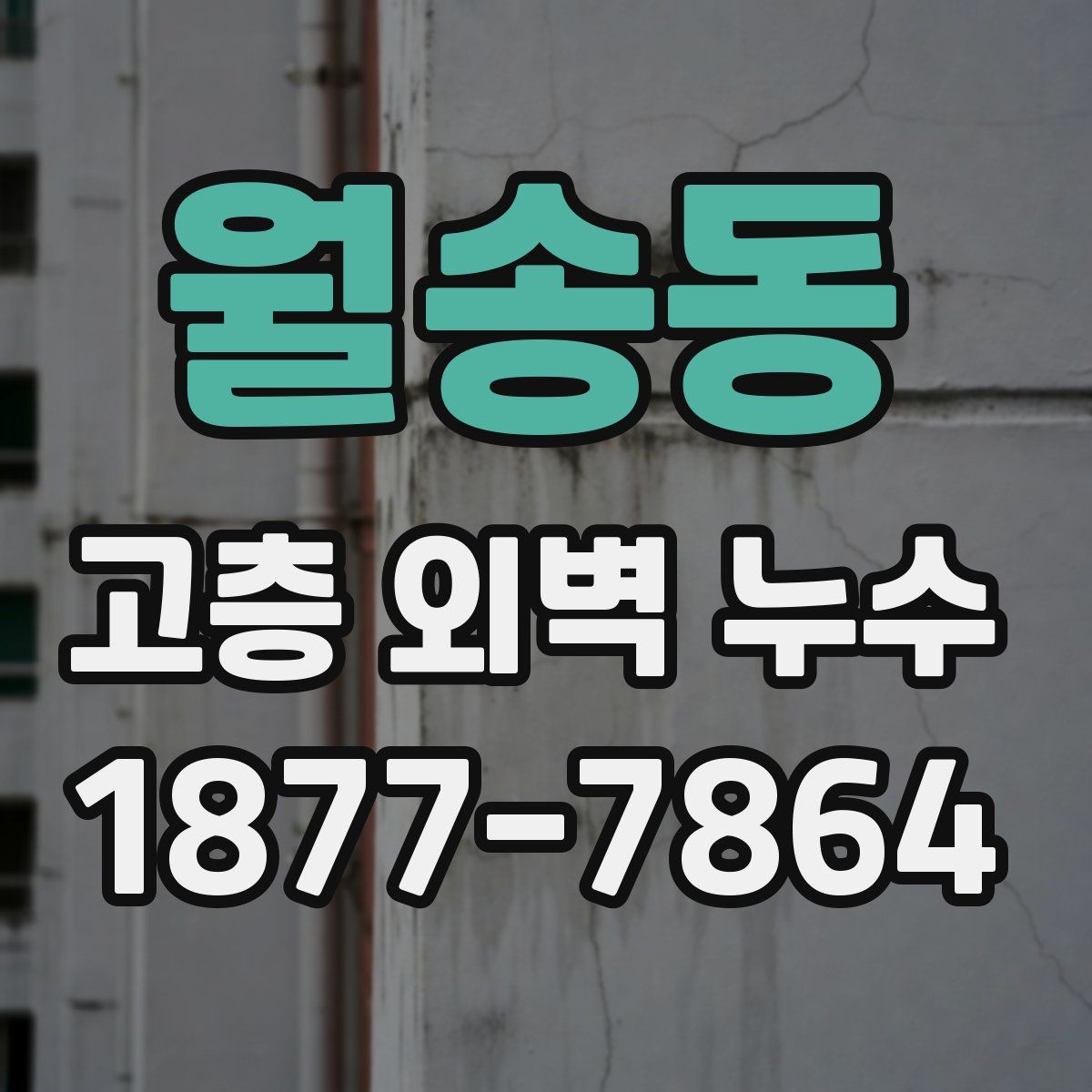 월송동 고층 외벽 누수