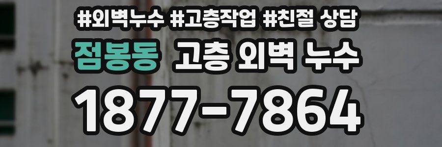 점봉동 고층 외벽 누수