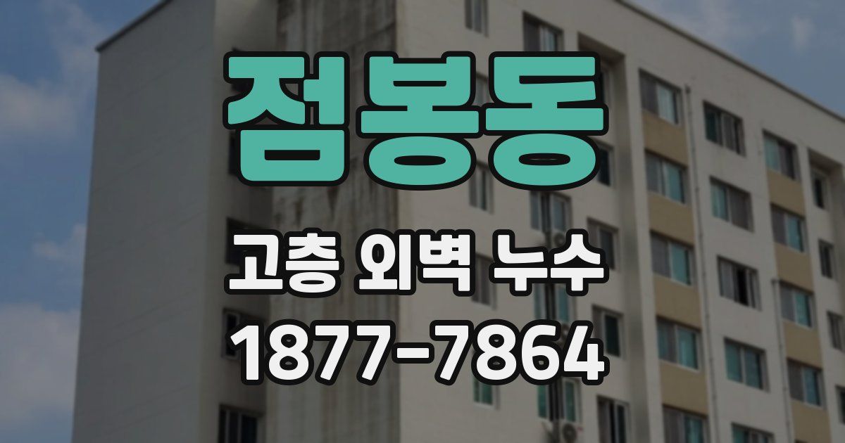 점봉동 고층 외벽 누수