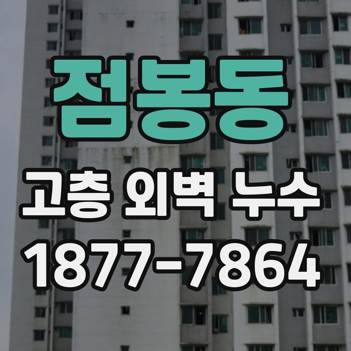 점봉동 고층 외벽 누수
