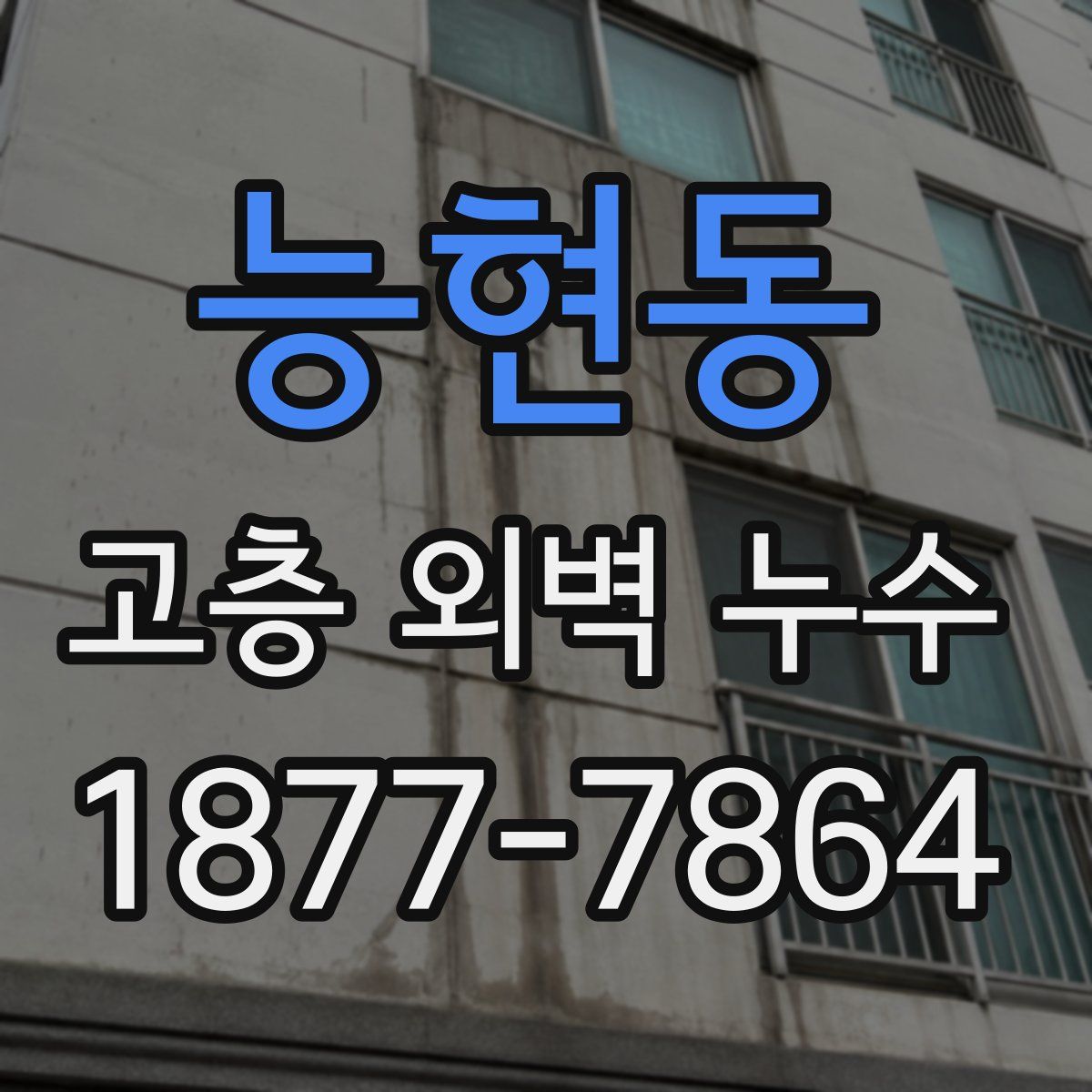 능현동 고층 외벽 누수