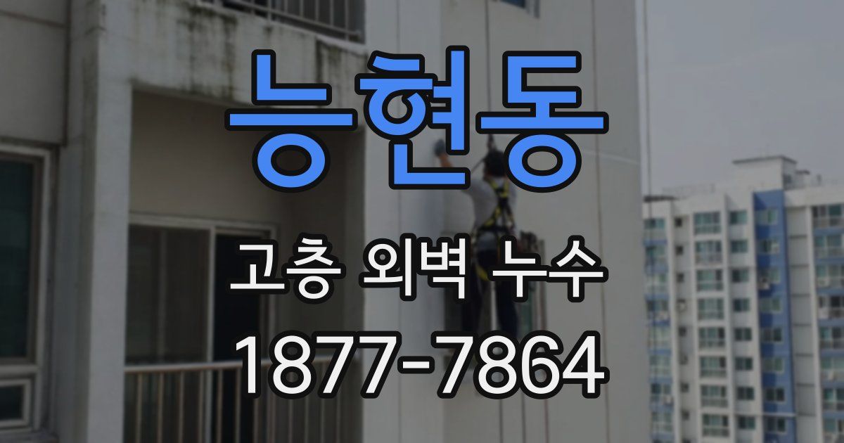 능현동 고층 외벽 누수