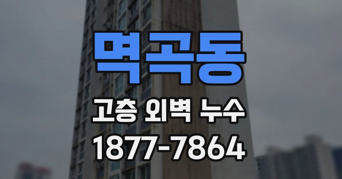 멱곡동 고층 외벽 누수