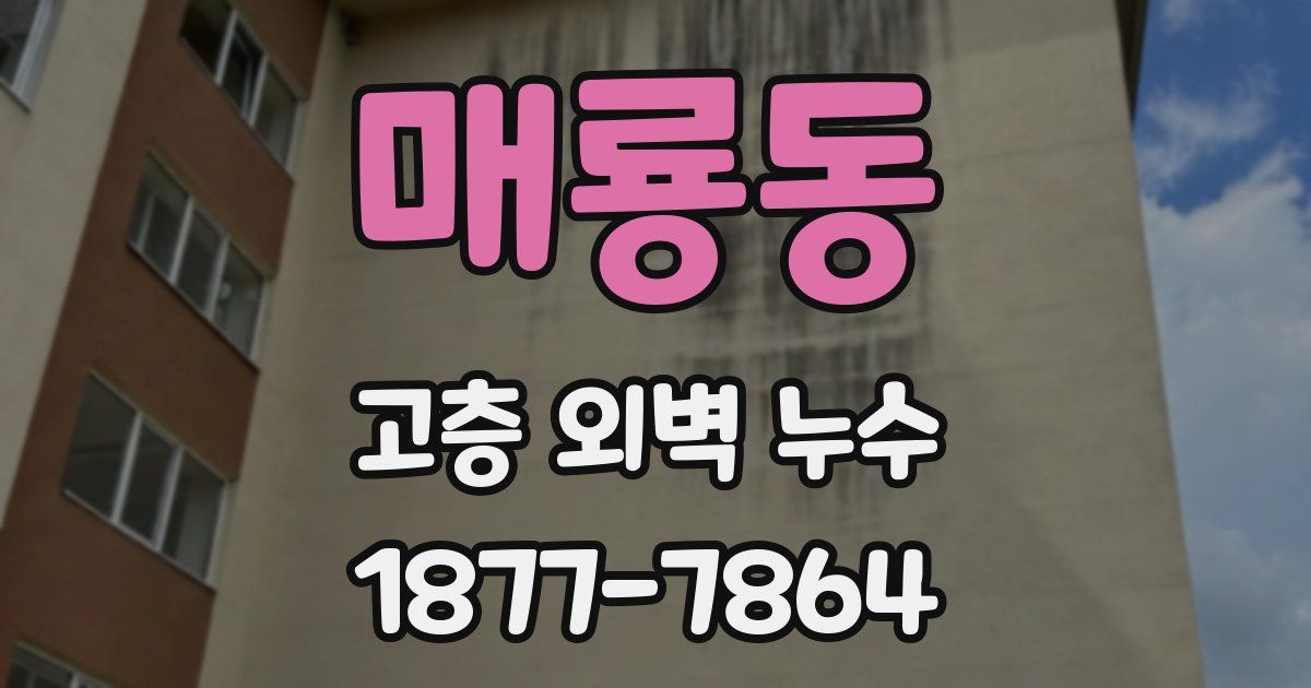 매룡동 고층 외벽 누수