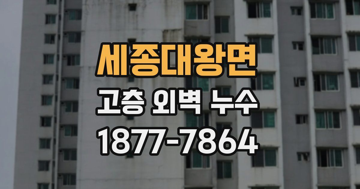 세종대왕면 고층 외벽 누수
