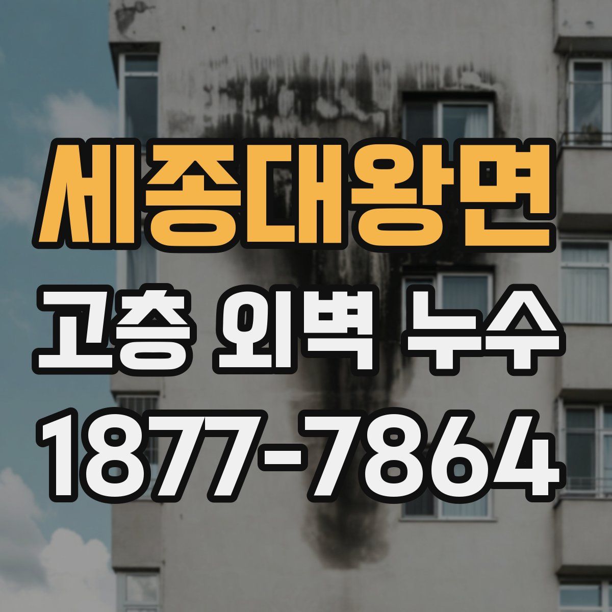 세종대왕면 고층 외벽 누수